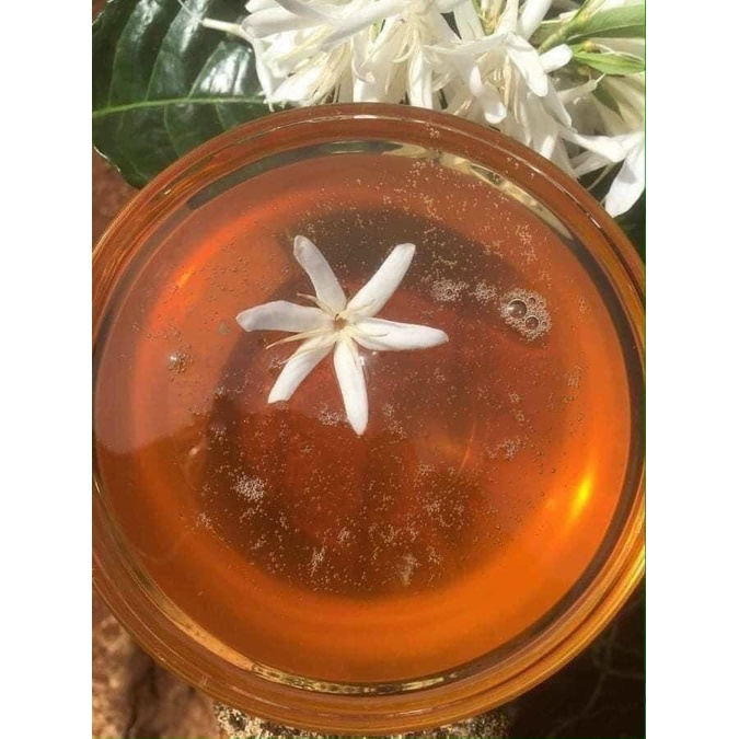 Mật Ong hoa cafe chai 1Lit