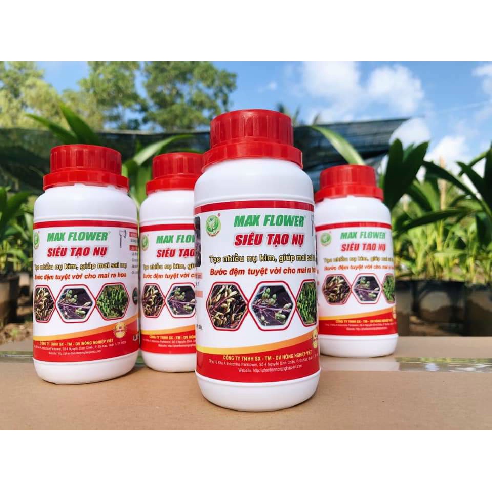 MAX FLOWER SIÊU TẠO NỤ