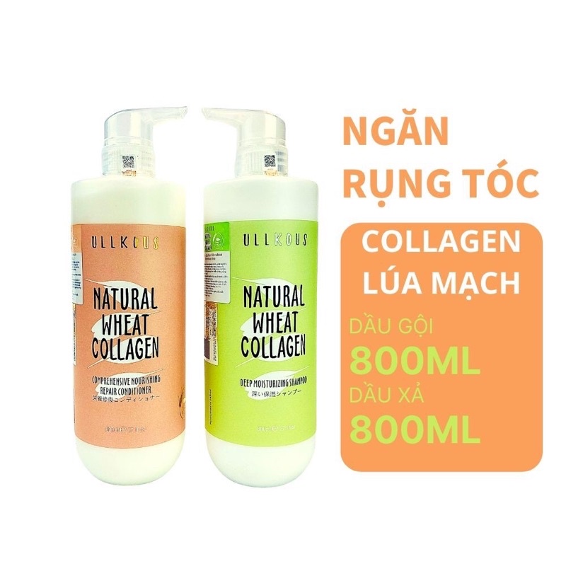 Cặp dầu gội xả collagen lúa mạch ullkous 800ml ngăn ngừa rụng tóc