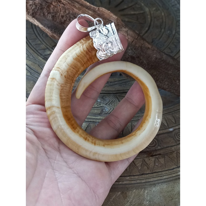 Mặt dây nanh heo nhân tạo phủ bì 9cm tặng dây đeo