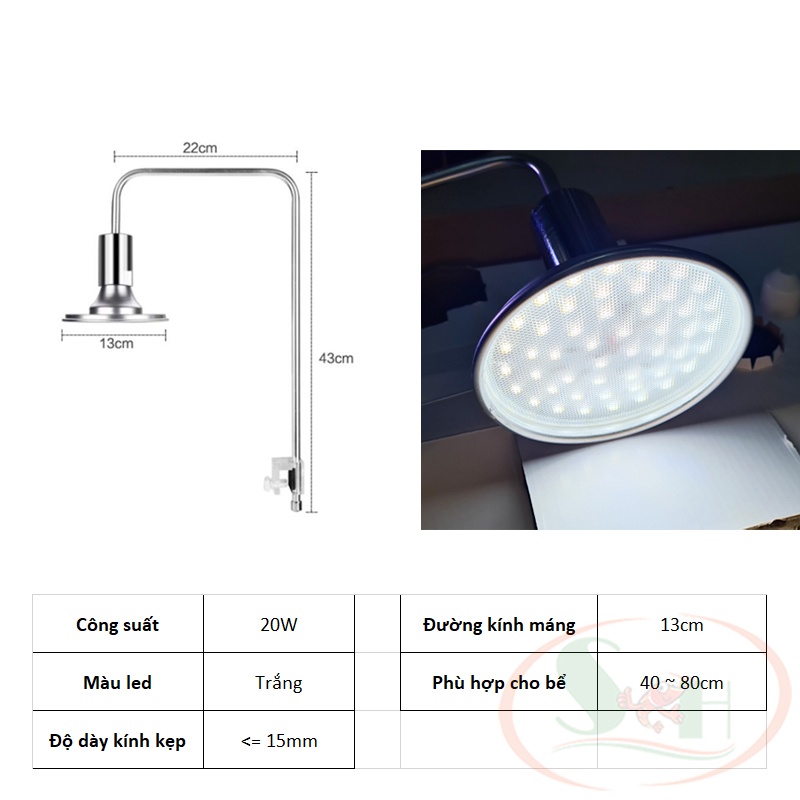 Đèn Led Dĩa Xinma Aquarium Lamp 20W, 40W Led Trắng Màu RGB