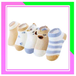 5 đôi Tất lưới sơ sinh kidshock cho bé 0-9 Tháng Thỏ ngổ ngáo Official