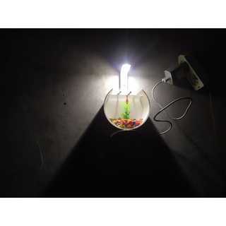 Đèn led Mini Trang Trí Bể Cá