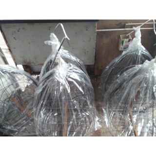 Lồng bẫy cu gáy huế ( lụp huế )
