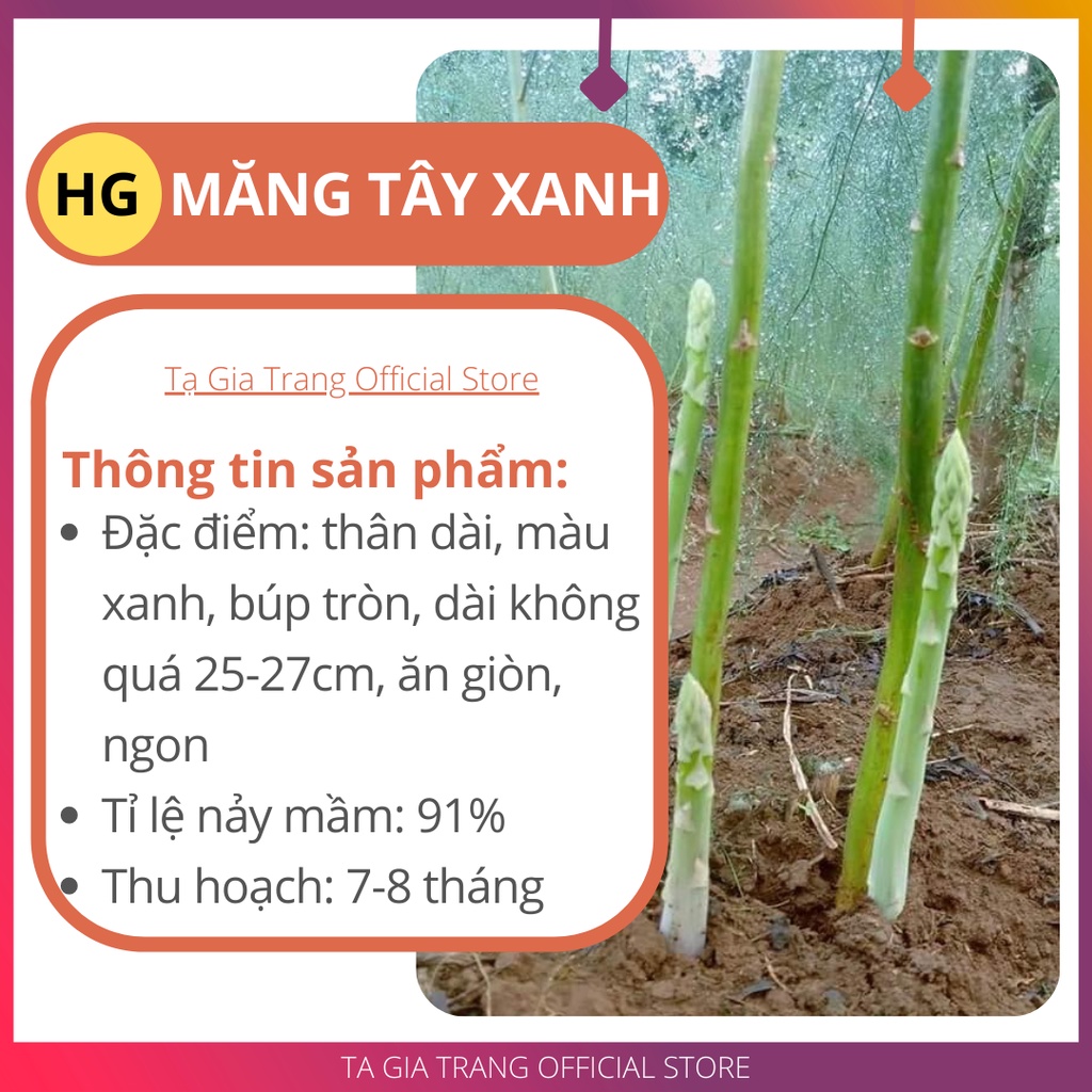 Deal 1K - Hạt giống măng tây xanh F1 - Tập làm vườn cùng Tạ Gia Trang