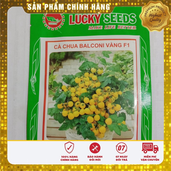 Hạt Giống Cà Chua Bi Bonsai Vàng Lucky seeds (30 hạt)