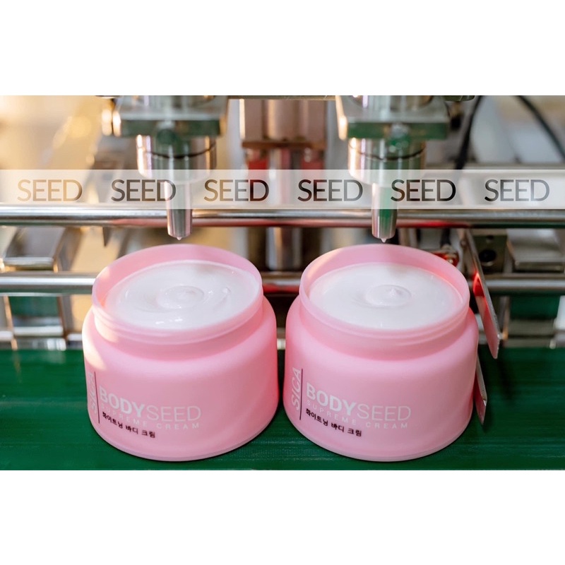 BODY MẦM / BODY SEED SICA