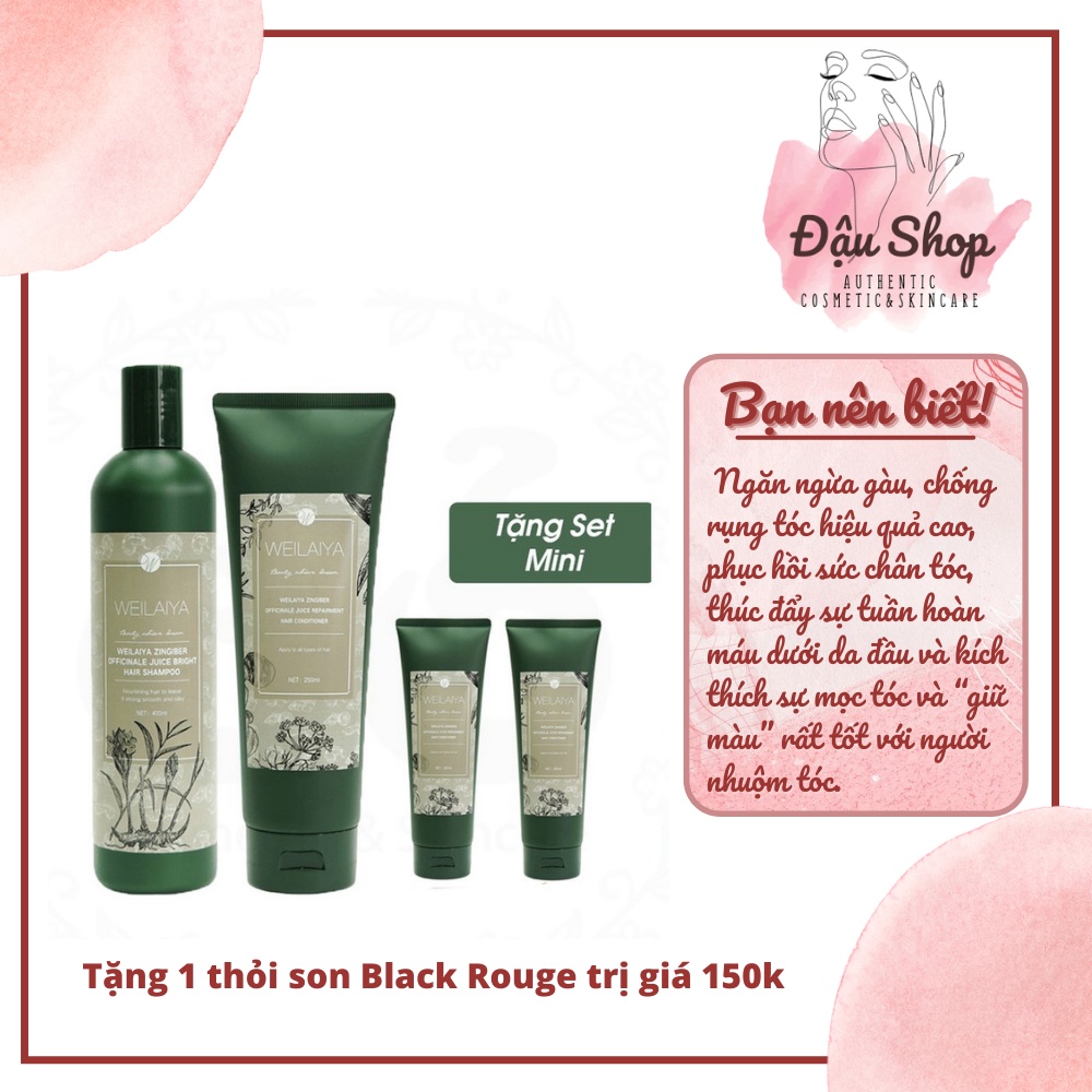Cặp Gội Xả WEILAIYA Gừng Hà Thủ Ô , Ngăn Rụng Tóc, Kích Mọc Tóc 400ml/250ml (Tặng son BlackRouge)