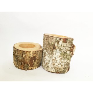 Chậu gỗ trồng cây mộc Khúc gỗ tự nhiên, đế đựng nến, trang trí, decor vintage, đạo cụ chụp hình KT C9-12cmxR10cm