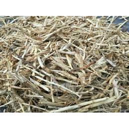 ☑️1KG Rễ cỏ tranh khô, bạch mao căn dùng nấu nước nấu trà
