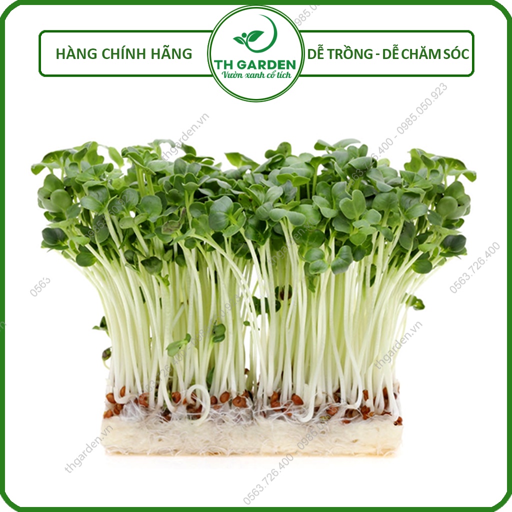 Hạt Giống Rau Mầm Củ Cải Trắng - Hạt Giống Rau Mầm TH Garden Giàu Dinh Dưỡng - Tỉ Lệ Nảy Mầm Cao, Thu Hoạch Sau 5 Ngày