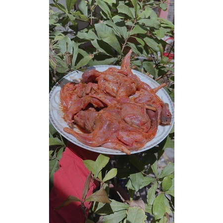 Hộp 1kg Chim cút ướp sẵn