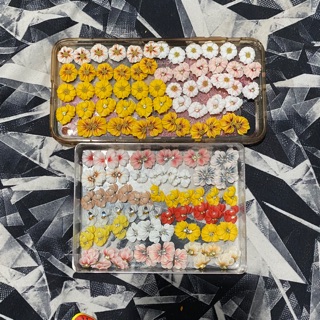 Combo 400 hoa bột của khách sỉ