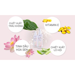 Dung dịch vệ sinh phụ nữ LACO (Lá Trầu Không)