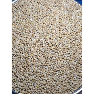 1kg hạt kê vàng to