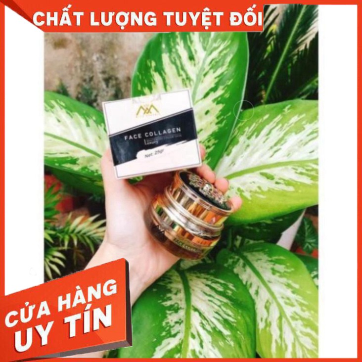 Face Collagen Cá Hồi Dna - Tinh Chất Ampoule Saffron 💕FREE SHIP💕chống lão hóa da, lấy lại tuổi thanh xuân