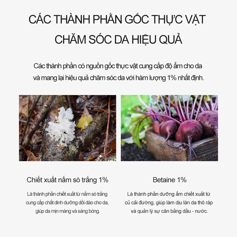 Nước Cân Bằng KOMBUCHA 80% TREATMENT