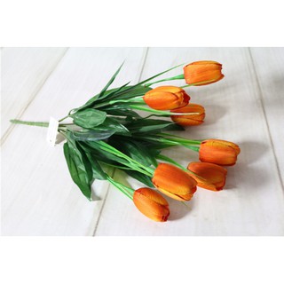 Cành hoa tulip 7 bông hoa