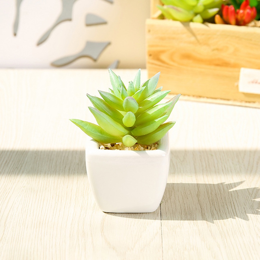 Chậu Cây Bonsai Giả Để Bàn Trang Trí Văn Phòng / Ban Công