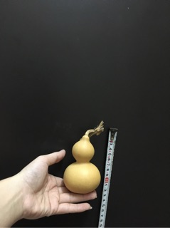2 quả bầu hồ lô mộc cỡ nhí