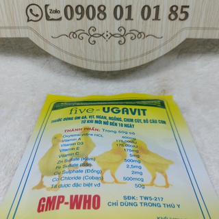 THUỐC ÚM GÀ - VỊT CON (TRUNG ƯƠNG 5) - (COMBO 1 GÓI)