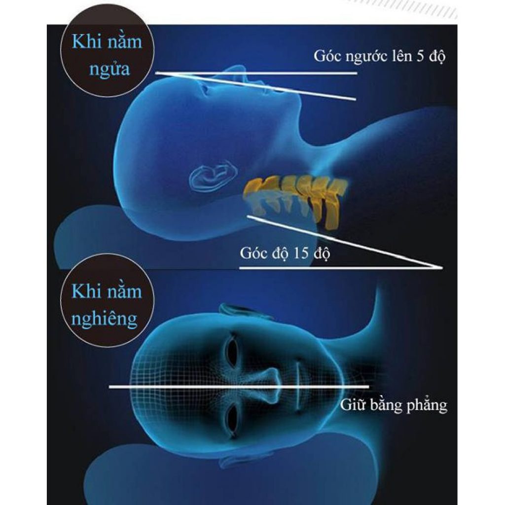 Gối Cao Su Non Chống Ngáy Người Lớn Cao Cấp - Mềm Mại - Êm ái - Đàn Hồi Là Một Trong Những Loại Gối Êm, Nhẹ
