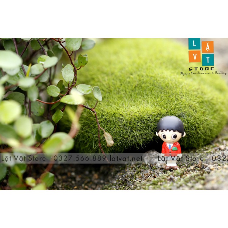 Mô Hình Đá Rêu Phong Micro Dùng Để Trang Trí Vi Tiểu Cảnh, Trang Trí Phong Cảnh - Đơn Giản Chân Thật Giá Rẻ Bất Ngờ