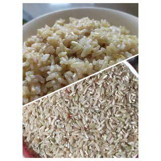 [2kg] Gạo lứt séng cù Điện Biên