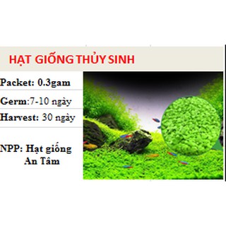 Hạt giống cây thủy sinh