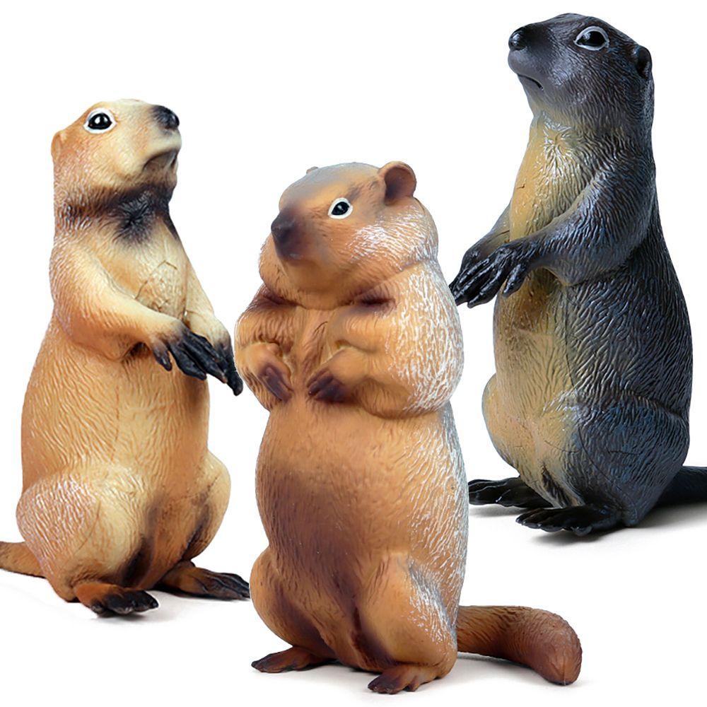 Đồ Chơi Mô Hình Marmot Giả Lập Động Vật Hoang Dã Sinh Động Cho Bé