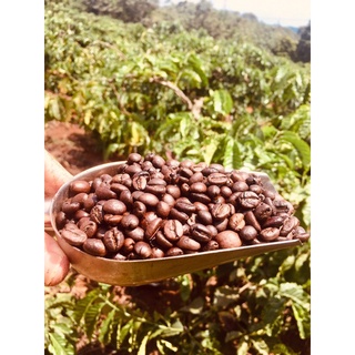 CAFE HẠT MỘC ROBUSTA 80 ARABICA 20 (500gr)