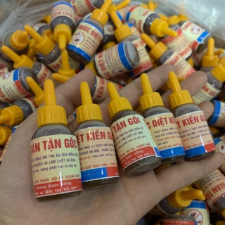 [Mã HC0505 giảm 8% đơn 250K] Combo 5 chai diệt kiến gián sinh học an toàn hiệu quả ngay