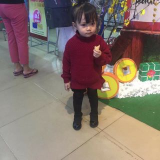 Ao len