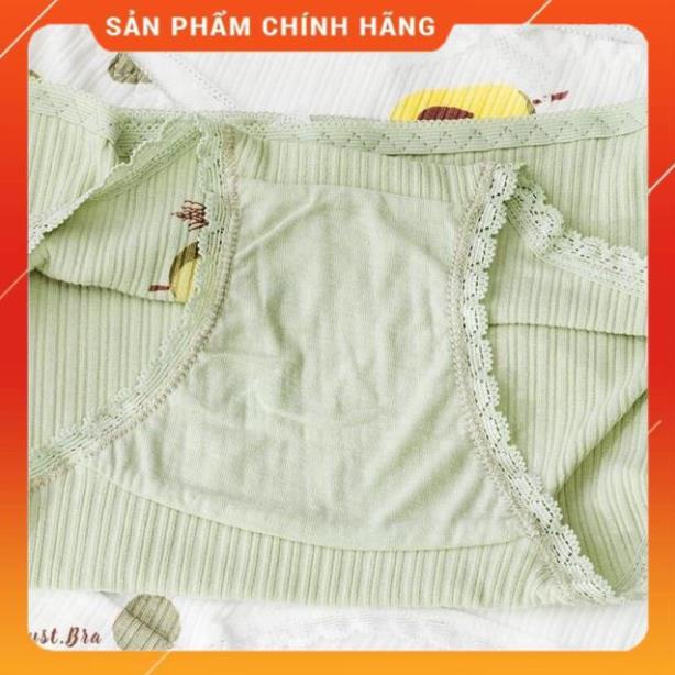 Quần Lót Nữ Quả Bơ Siêu CuTe ( Chọn Màu )