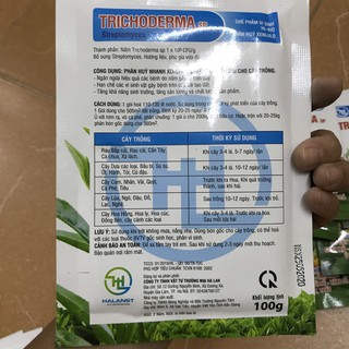 Nấm đối kháng Trichoderma sp Streptomyces