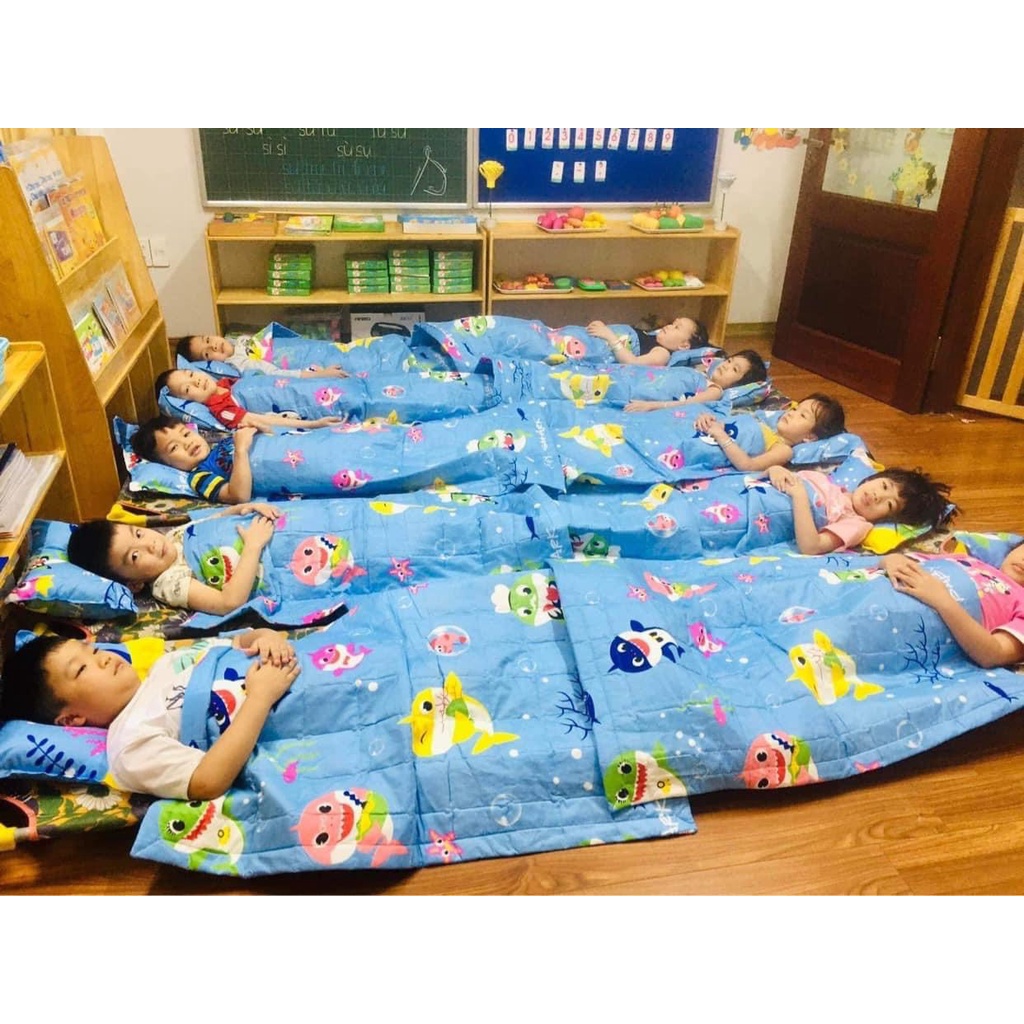 Set chăn ga gối cho bé, bộ chăn gối cho bé đi học - có tách ruột