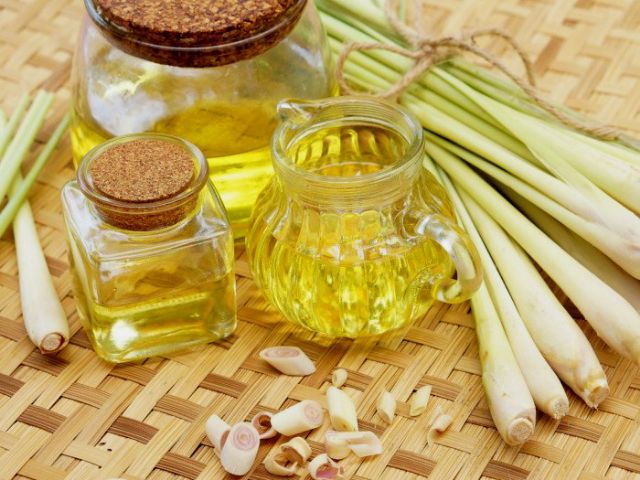 Leviter.vn Tinh dầu Sả Chanh Việt Nam 100ml