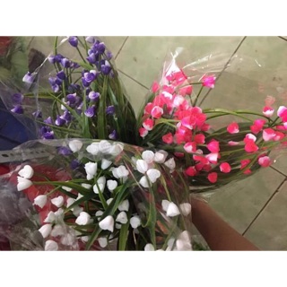 Combo ho điểm