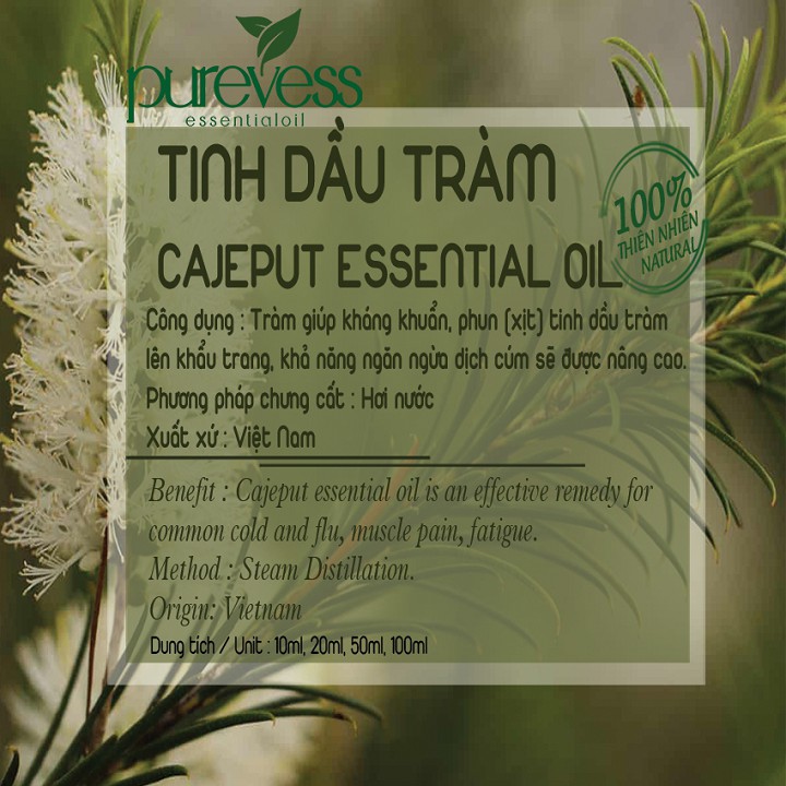 Tinh dầu Tràm giúp kháng khuẩn giảm mệt mỏi và thư giãn PUREVESS 10ml