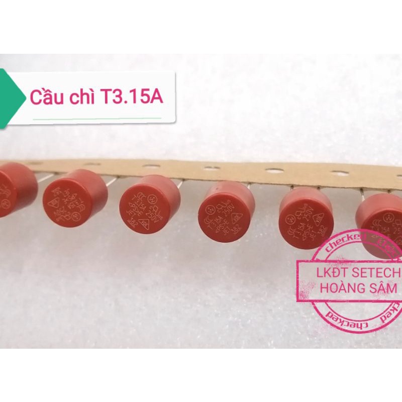 2 chiếc cầu chì tròn T3.15A 250V 382 8x8mm