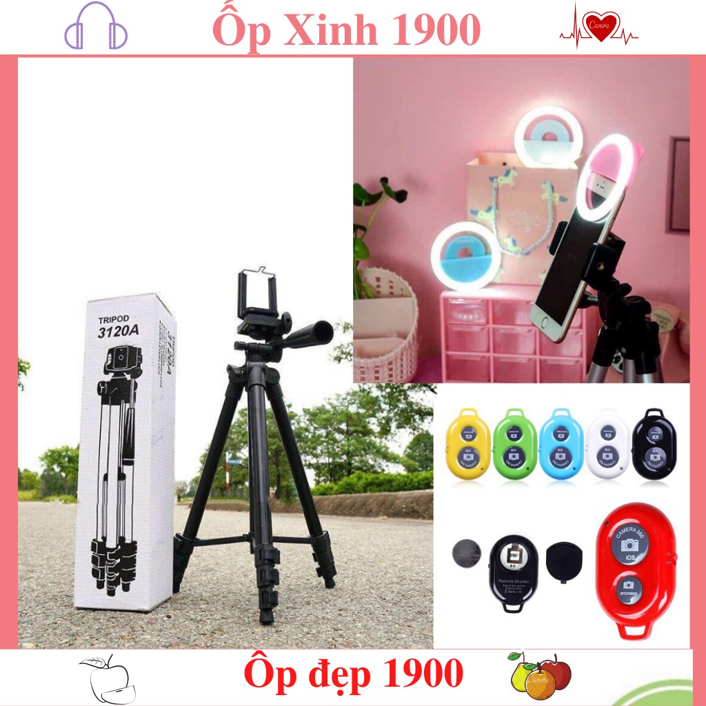 Gậy 3 Chân Tripod 3120  Chuyên Giá Đỡ Chụp Hình Live Stream