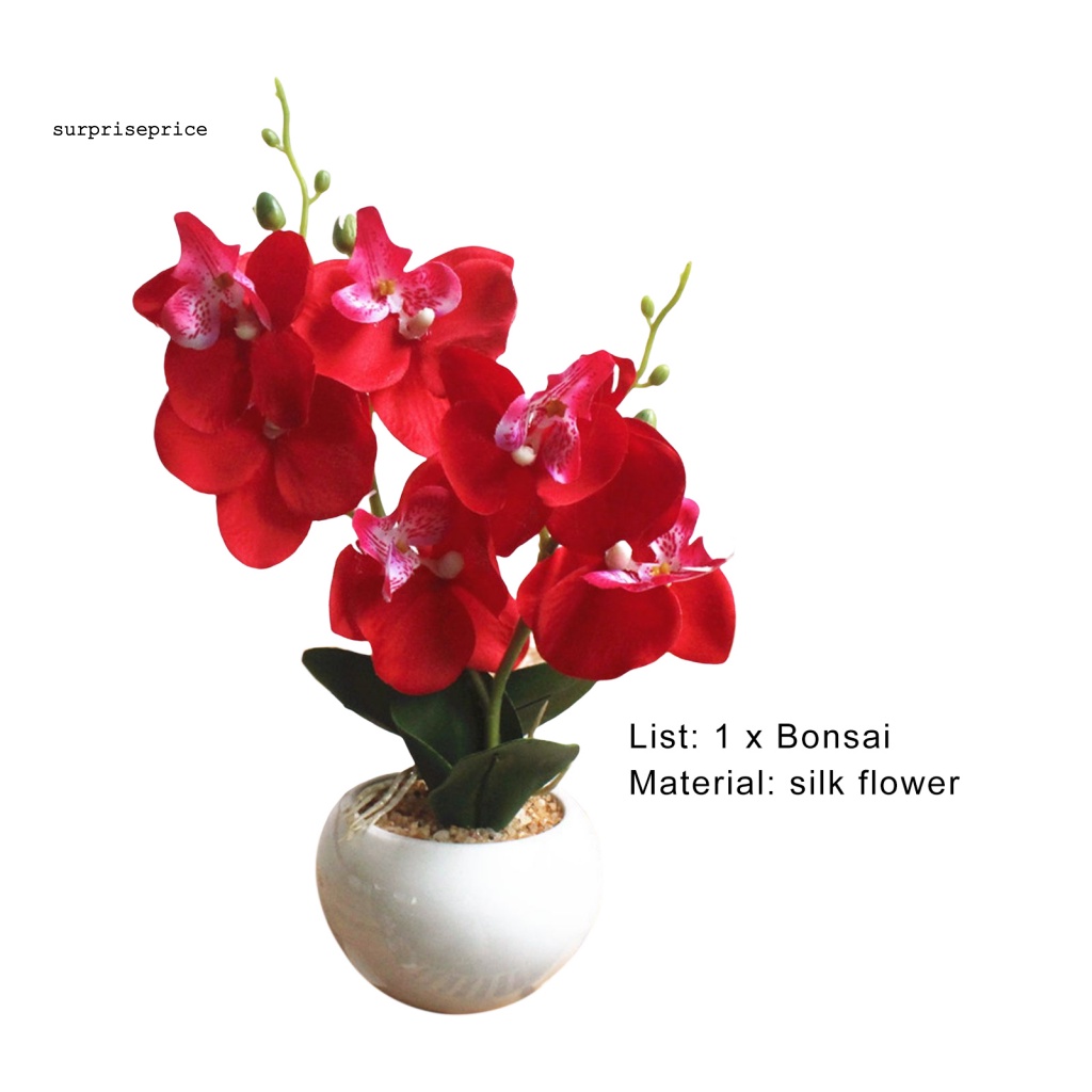 Chậu Cây Bonsai Giả Trang Trí Phòng Ngủ / SPA