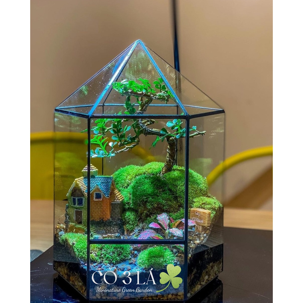 Bình thủy tinh đa giác terrarium tiểu cảnh bán cạn, nuôi cá .trồng sen đá