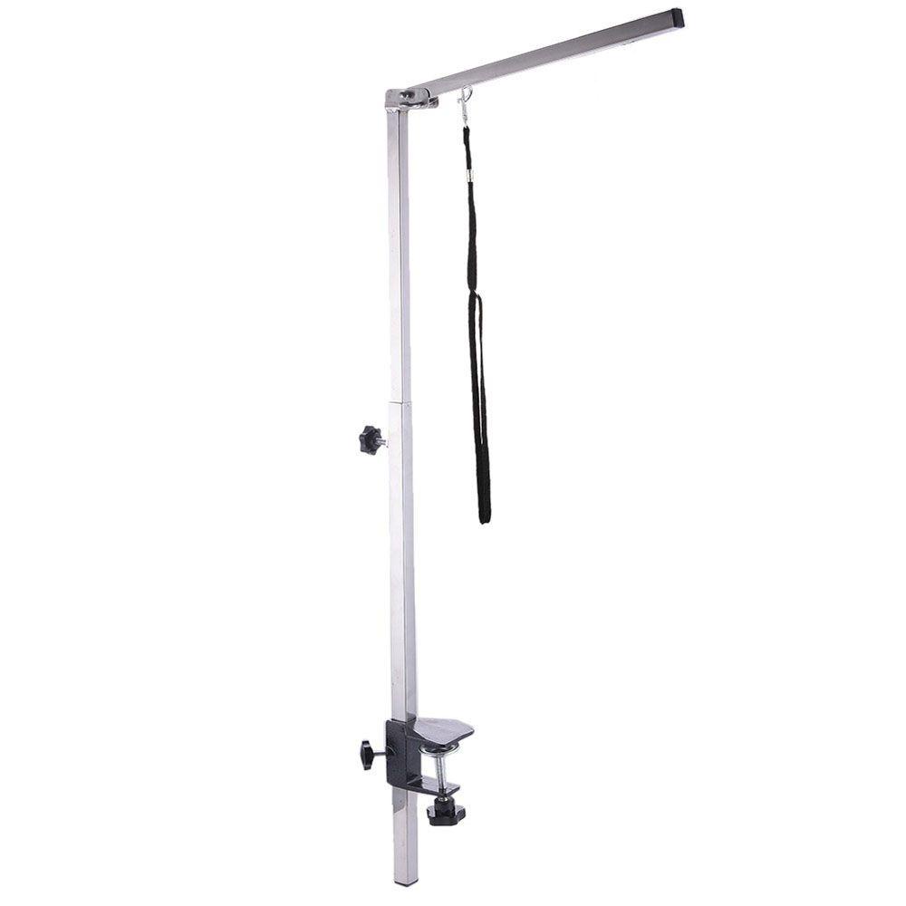 Dây Dắt Thú Cưng Đi Dạo An Toàn Chất Lượng Cao AUGUSTINA