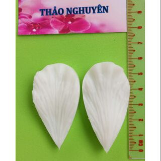 Gân silicon hoa lan vũ nữ - hoàng lan
