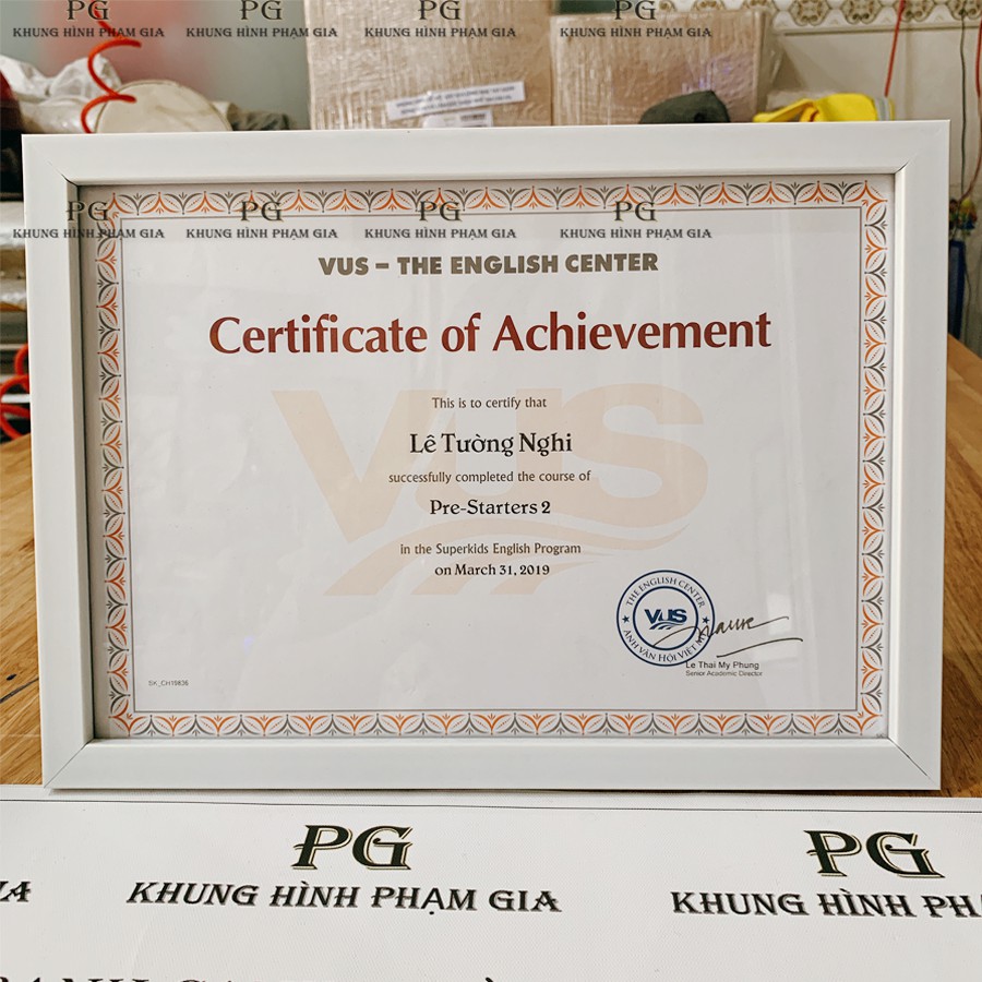 Khung Bằng khen A4, A3 giá rẻ hồ chí minh khung hình phạm gia PGBK6