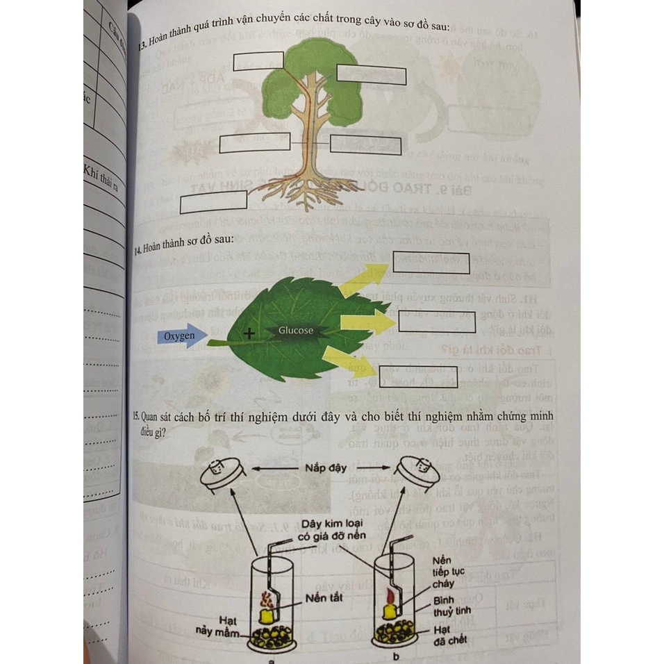 Sách - Bồi dưỡng năng lực tự học môn khoa học tự nhiên 7