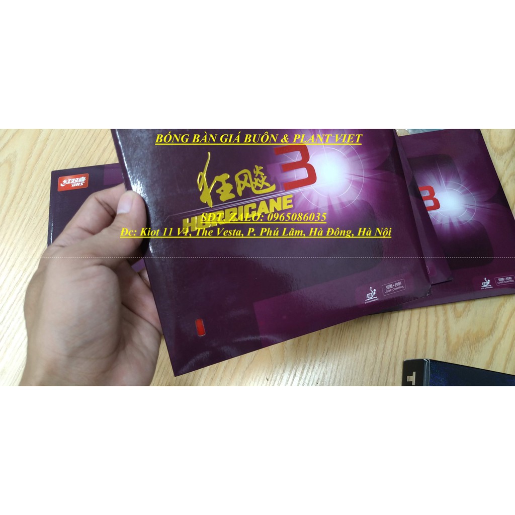 MẶT VỢT BÓNG BÀN HURRICANE III (H3) MARKET VÀ NEO MARKET VÀ PF4