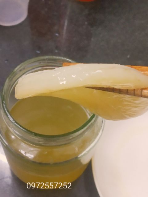 Scoby, , con nấm làm kombucha, kefir. Hướng dẫn nuôi tỉ mỉ đến khi thành công