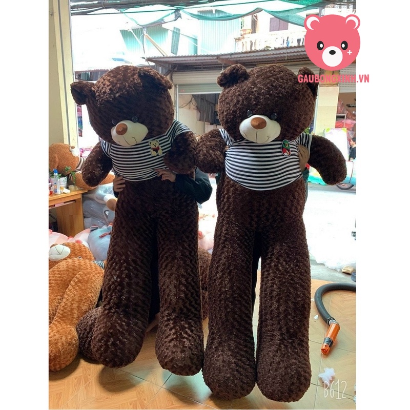 Gấu Bông Teddy Socola Siêu to khủng lồ 1m6 - 2m, Thú Nhồi Bông Kích Thước Khủng làm quà tặng trang trí nhà cửa  đồ chơi